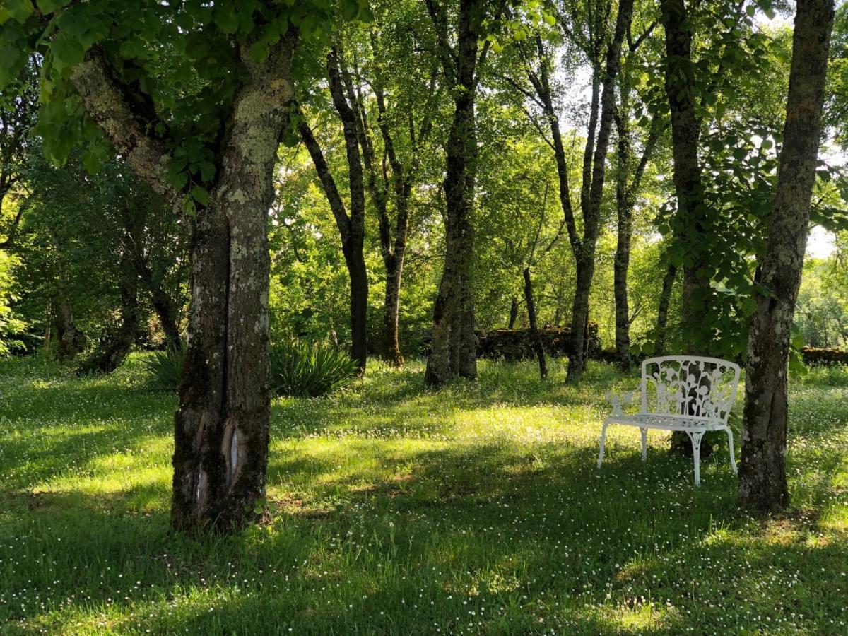 Domaine De Monplaisir Bed & Breakfast Caylus ภายนอก รูปภาพ